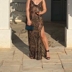 Sheer Leopard Print Maxi Dress